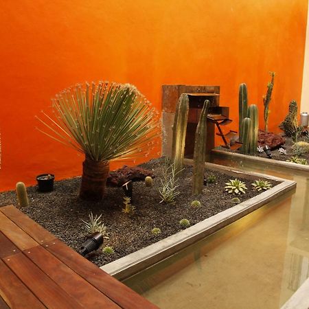 Coyoacan - Inn Mexico By Eksteriør billede