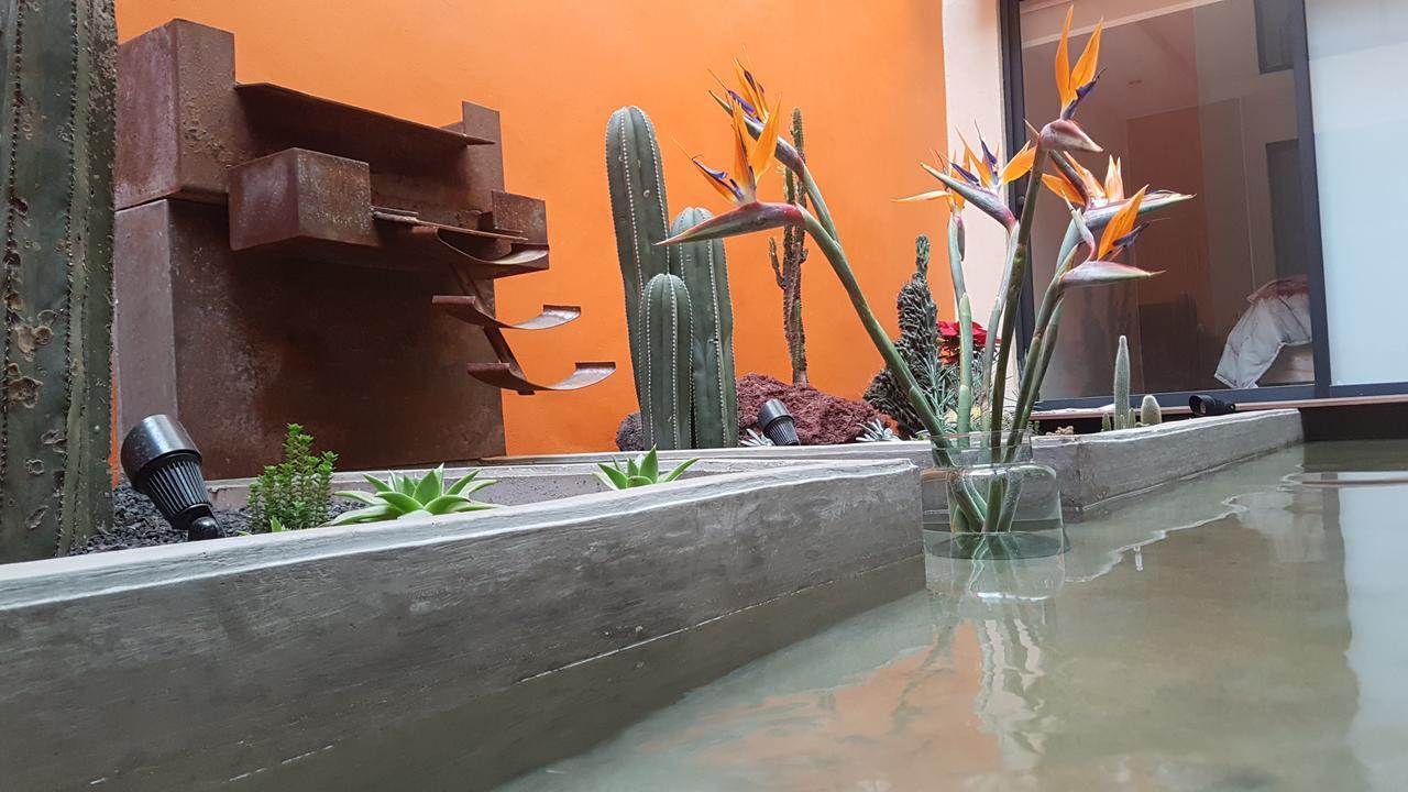 Coyoacan - Inn Mexico By Eksteriør billede