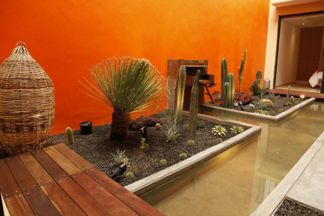 Coyoacan - Inn Mexico By Eksteriør billede